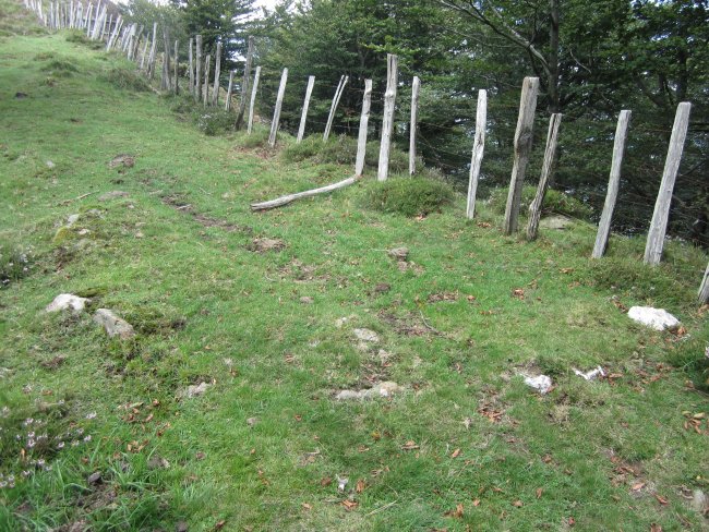 Cromlech Ibintza nº 1 ( 08-2014)