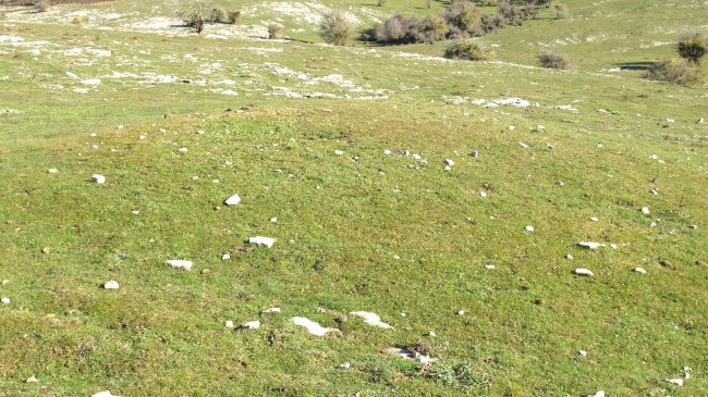 Iguzpegi 4 etxola hondoa, Andia