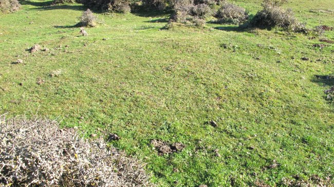 Iguzpegi 7 etxola hondoa, Andia