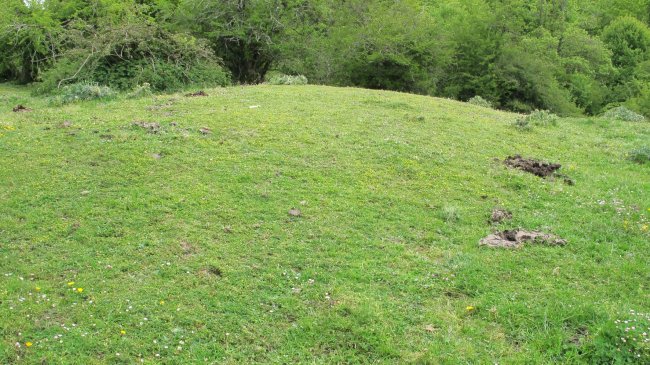 Ingiriko Portillua etxola hondoa, Andia