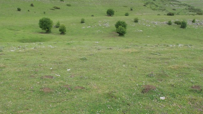 Ingiri eraztun tumulua, Andia